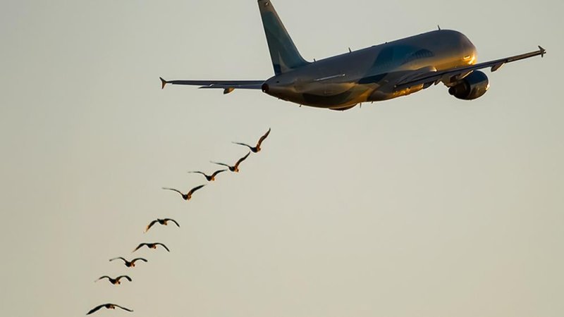 Фото: shutterstock