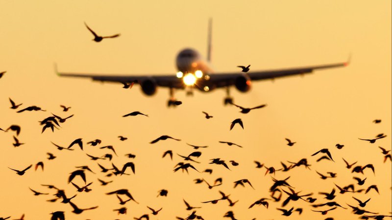 Фото: Shutterstock