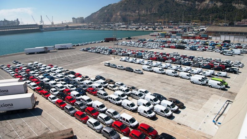 Фото: Shutterstock