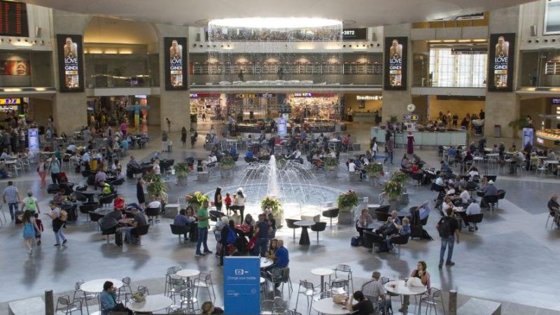 Фото: Shutterstock