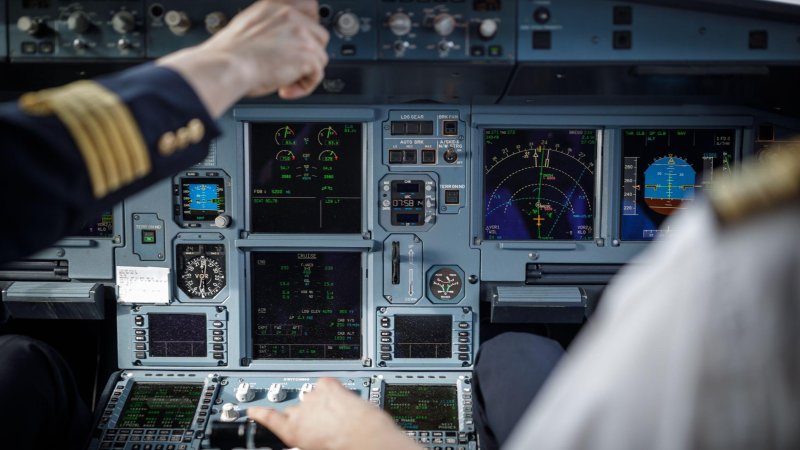 Фото: Shutterstock