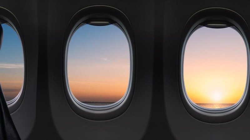 Фото: Shutterstock