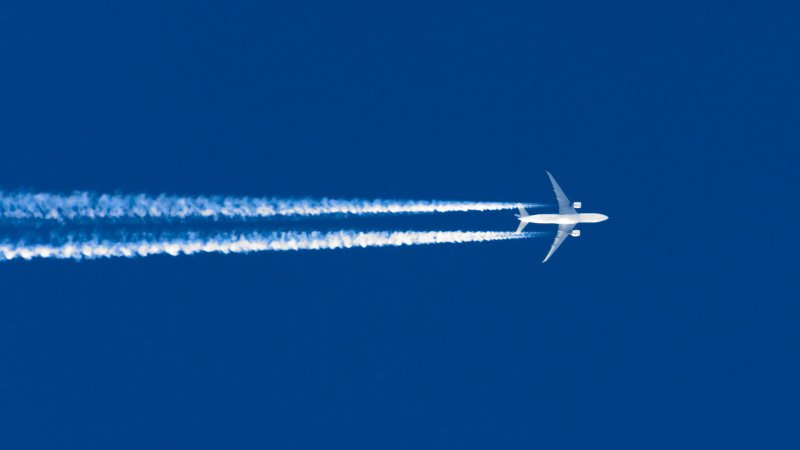 Фото: SHUTTERSTOCK