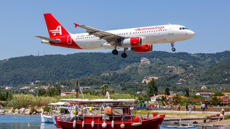 AnimaWings расширяется/ Фото: Shutterstock