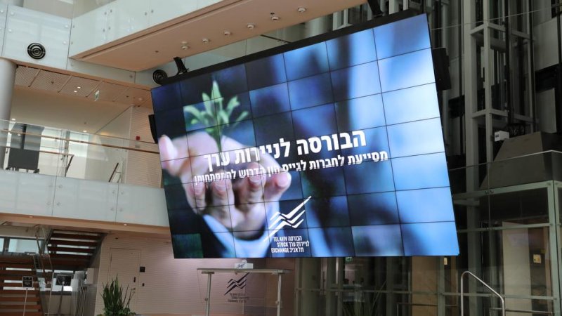 Фото: Shutterstock