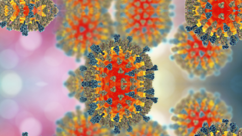 Корь. Фото: Министерство здравоохранения