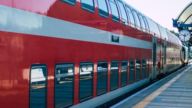 Фото: Shutterstock