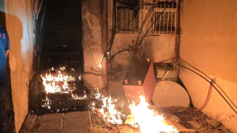 Фото: Матнель Бушари