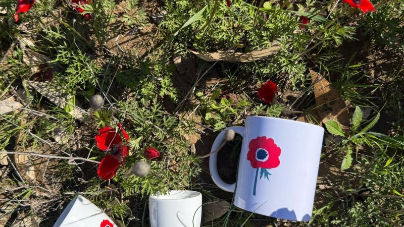 Фото: Марина Форман