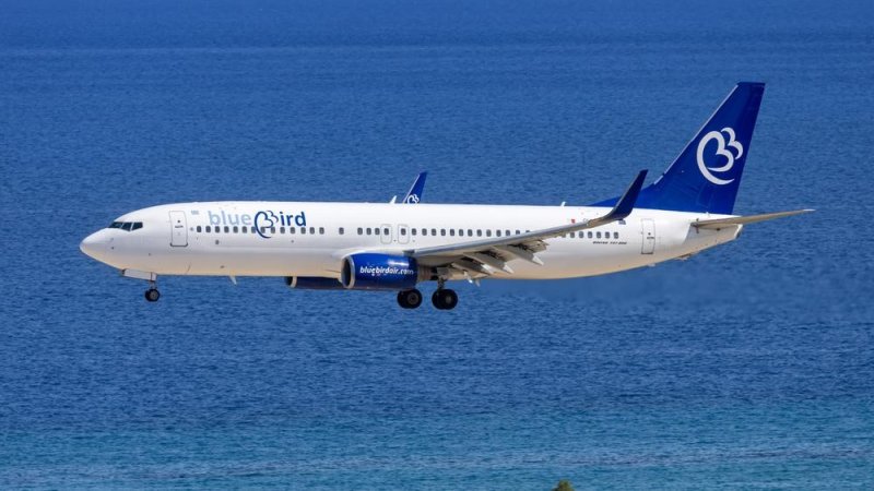 Blue Bird Airways. Фото: Markus Mainka / Shutterstock