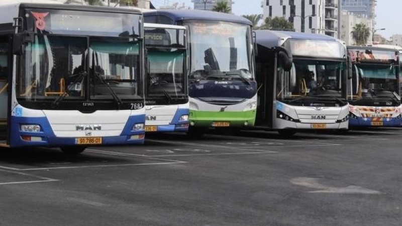 Автобусы. Фото: Vered Barequet / Shutterstock