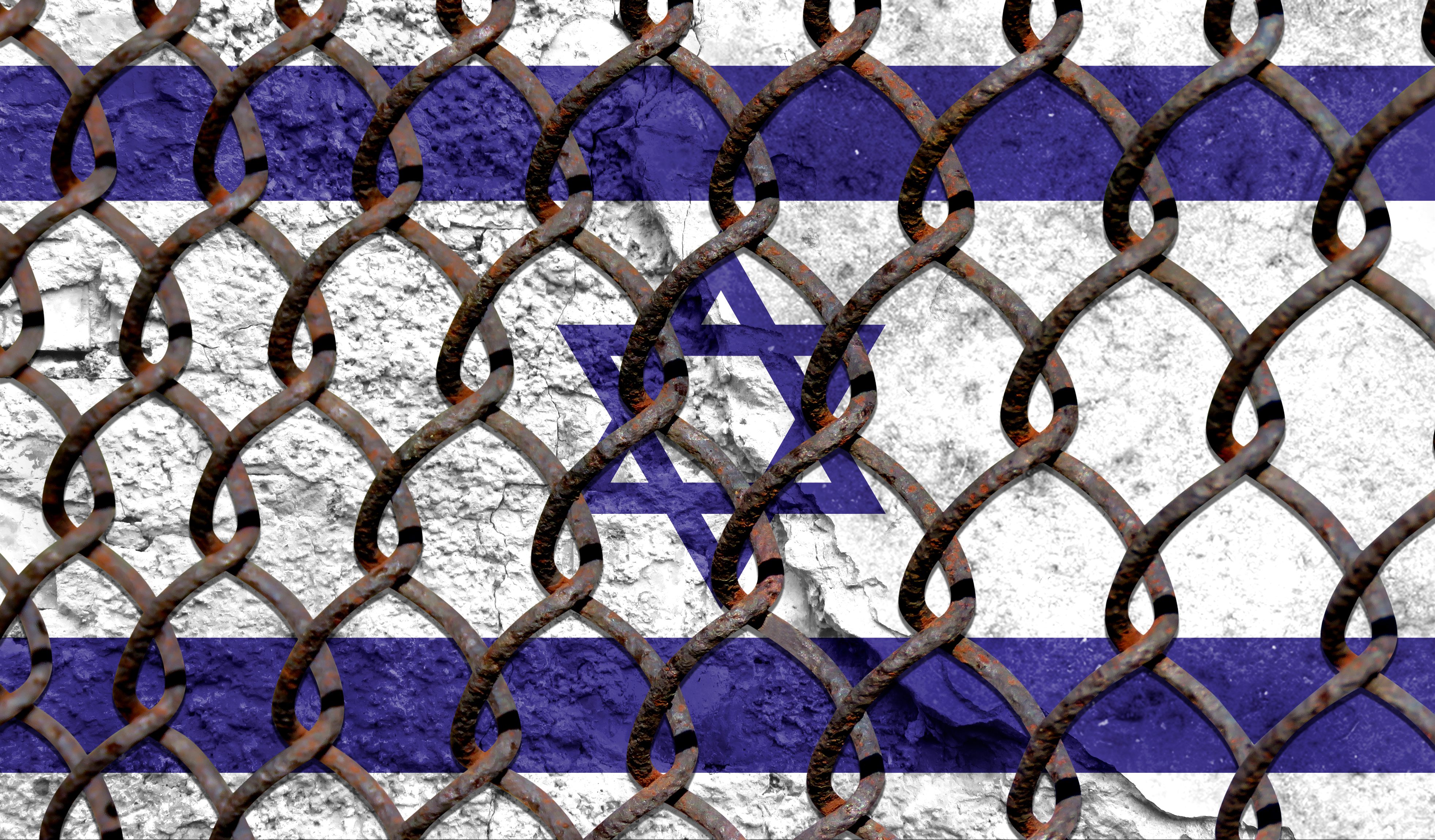 צילום: shutterstock