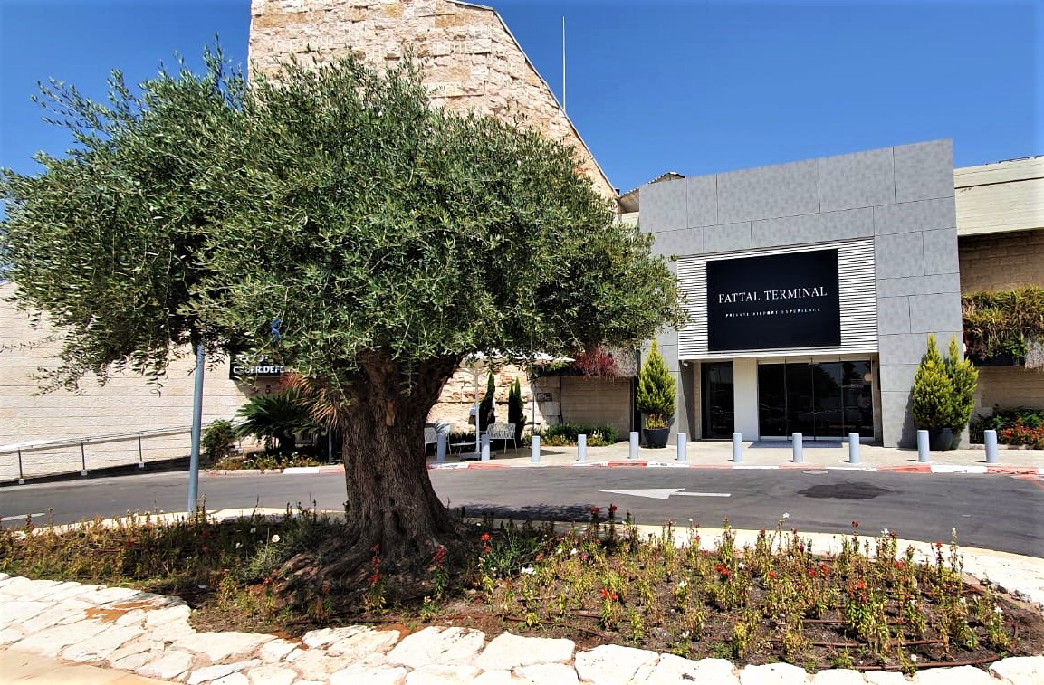 פתאל טרמינל. צילום: ספיר פרץ