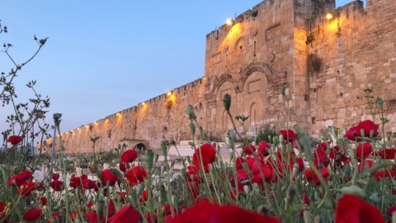 העיר העתיקה, ירושלים העיר העתיקה, ירושלים