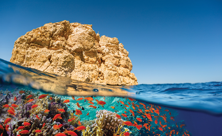 Шарм-эш-Шейх. Фото: shutterstock