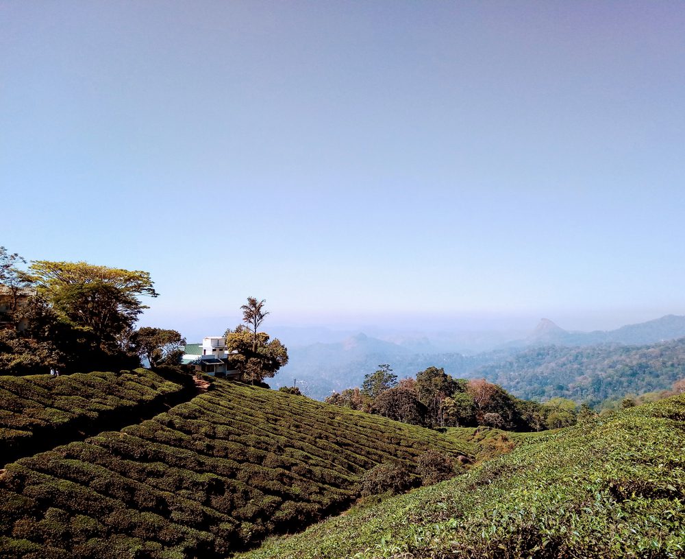 קרלה, צילום Shutterstock