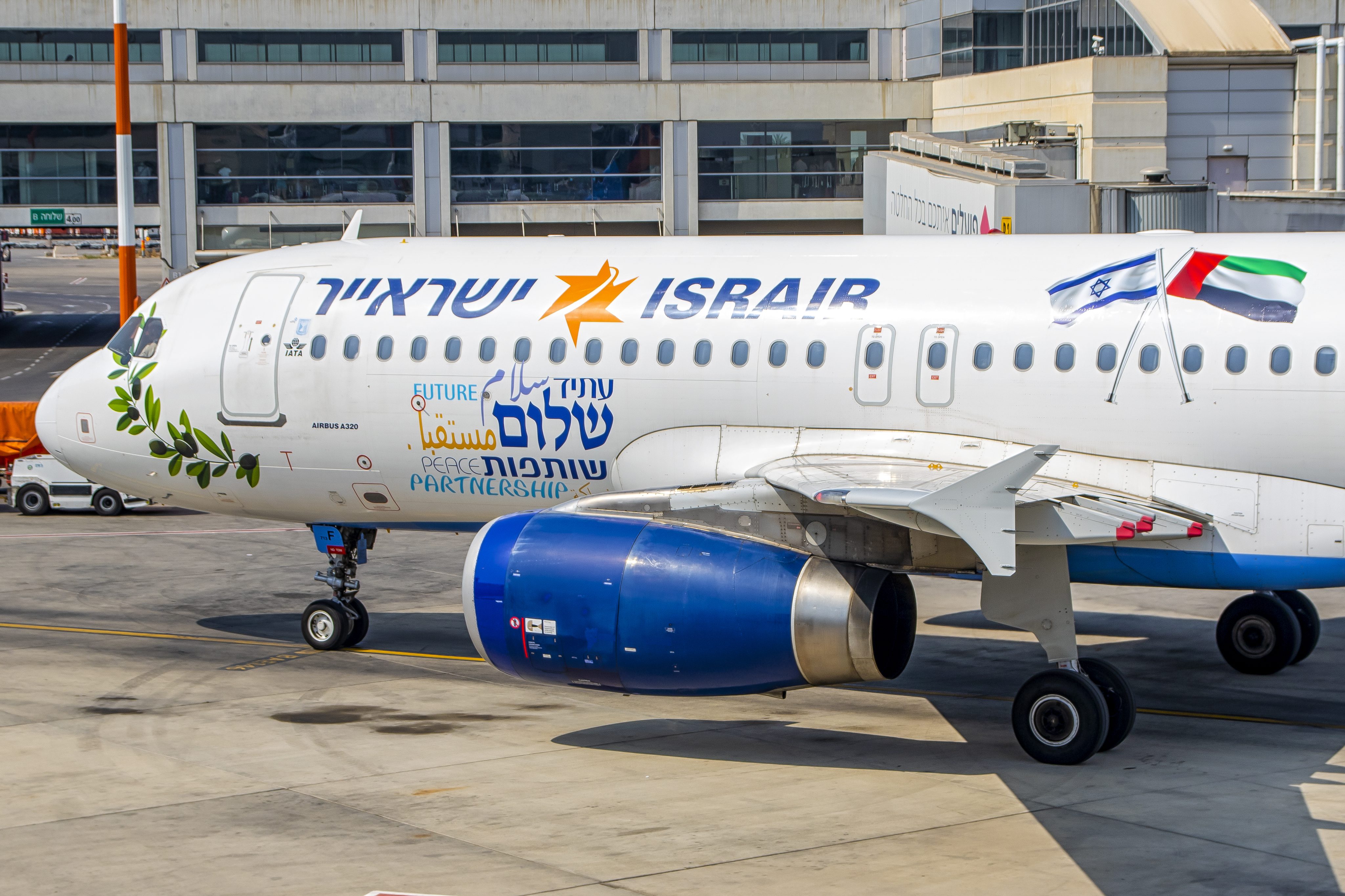 צילום: עידו וכטל