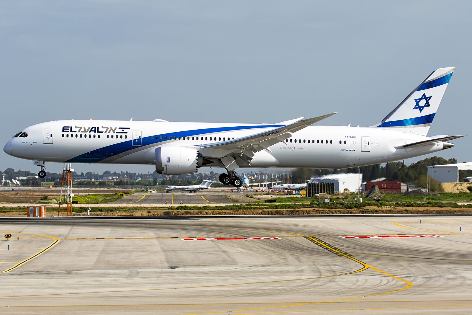 מטוס אל על. צילום: עידו וכטל
