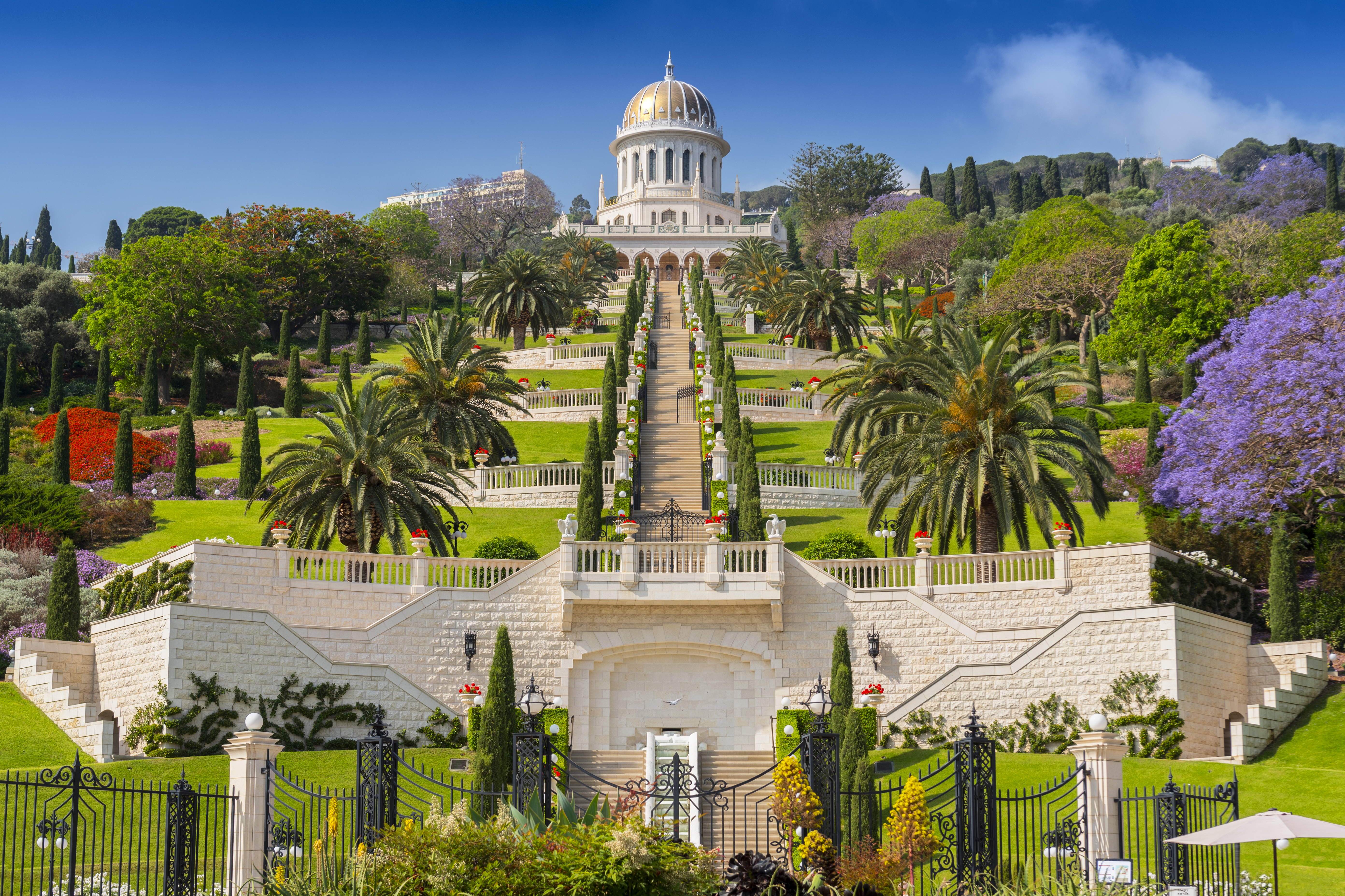 חיפה. צילום: Shutterstock