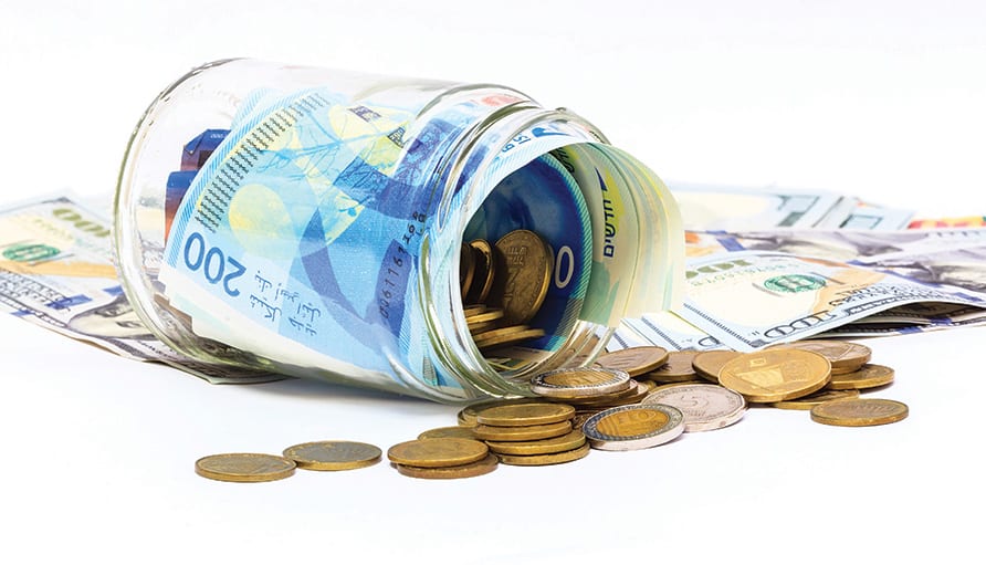 צילום: shutterstock||