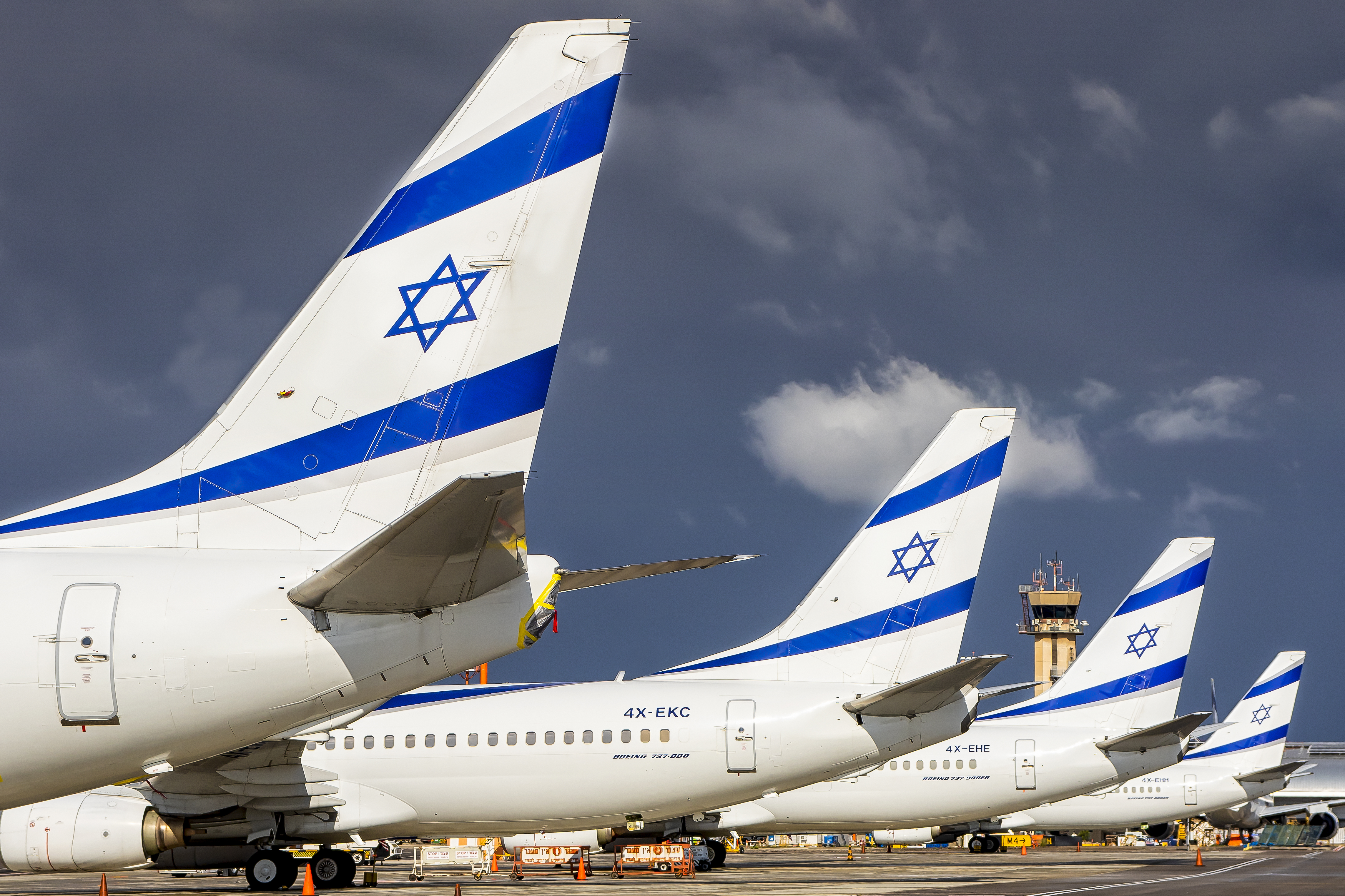 צילום: עידו וכטל