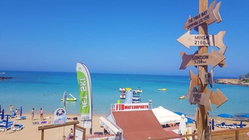 פרוטארס קפריסין. צילום: ספיר פרץ זילברמן פרוטארס קפריסין. צילום: ספיר פרץ זילברמן