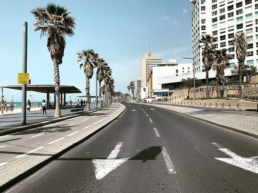 צילום: נטע גפני