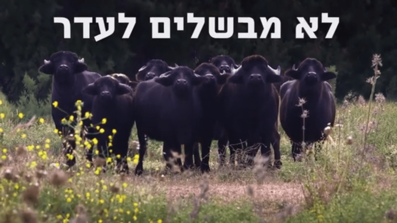 רשות הטבע והגנים רשות הטבע והגנים