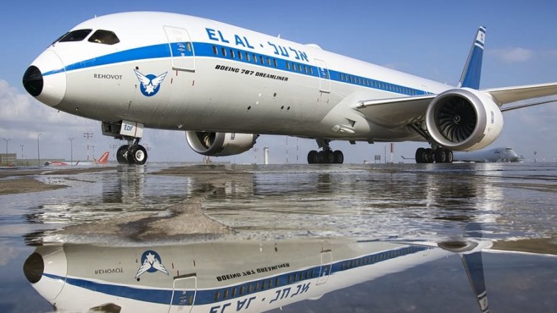 אל על. צילום: עידו וכטל אל על. צילום: עידו וכטל