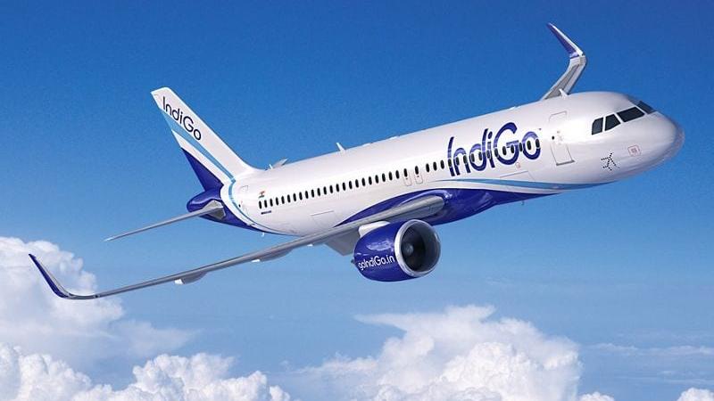 IndiGo. Original Credits: A320neo - IndiGo. Photo: Airbus