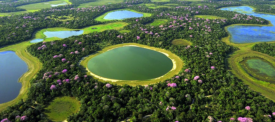 איזור PANTANAL. צילום: |צילום: יח"ץ פולאריס