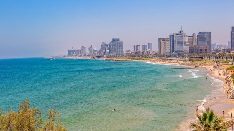 צילום: shuterstock|צילום: יח"צ פתאל צילום: shuterstock|צילום: יח"צ פתאל