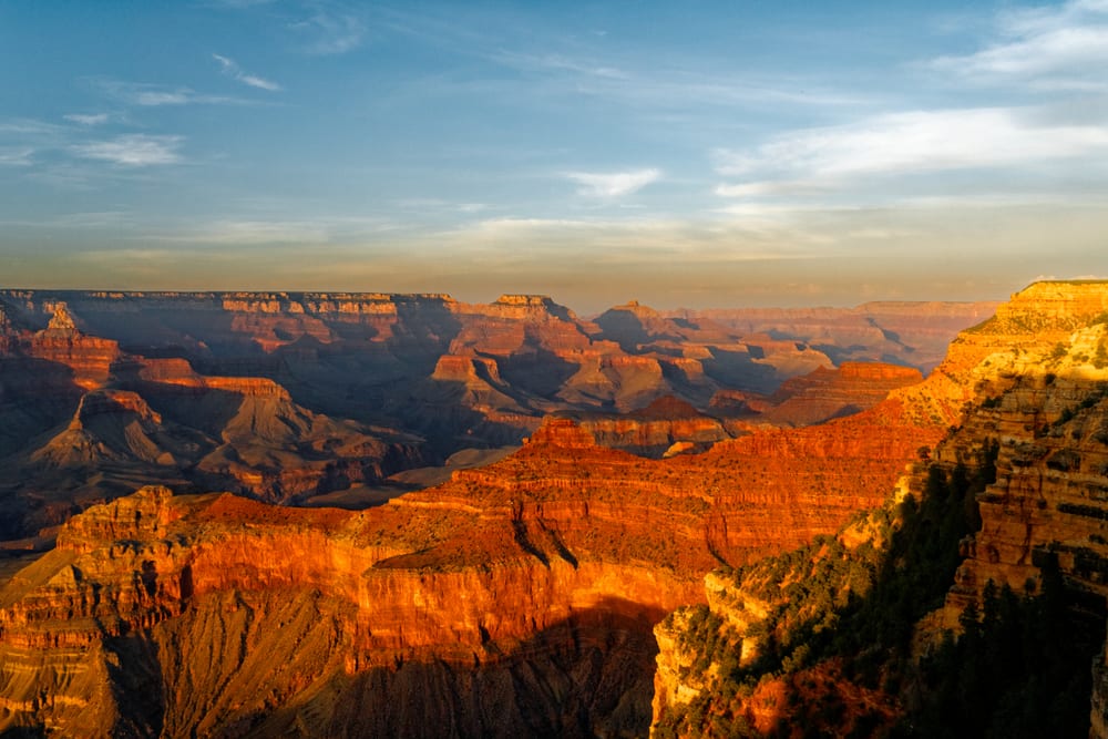 גרנד קניון South Rim. צילום: shutterstock