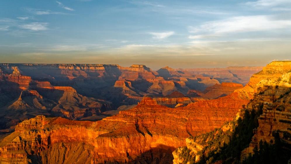גרנד קניון South Rim. צילום: shutterstock