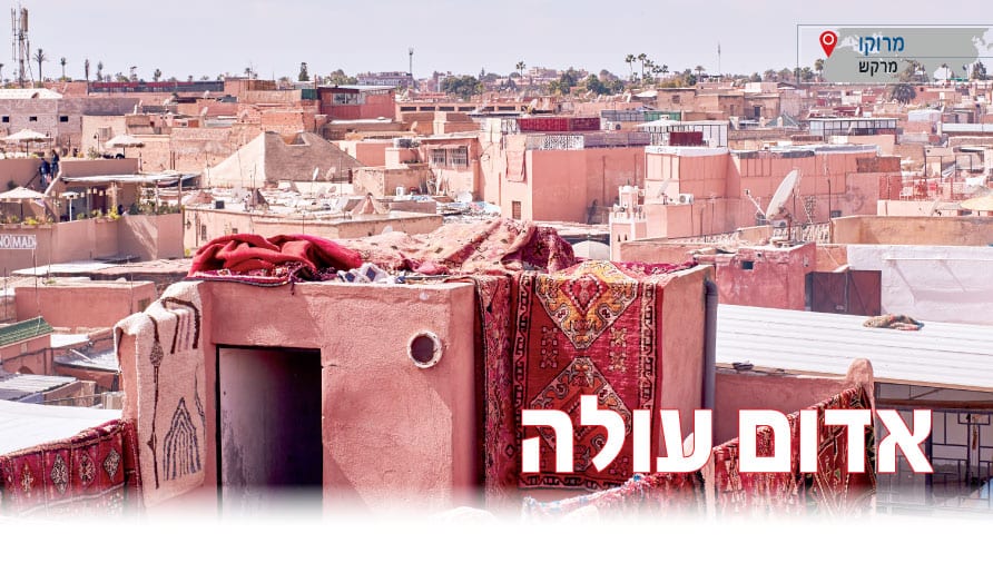 |צילומים: Shutterstock