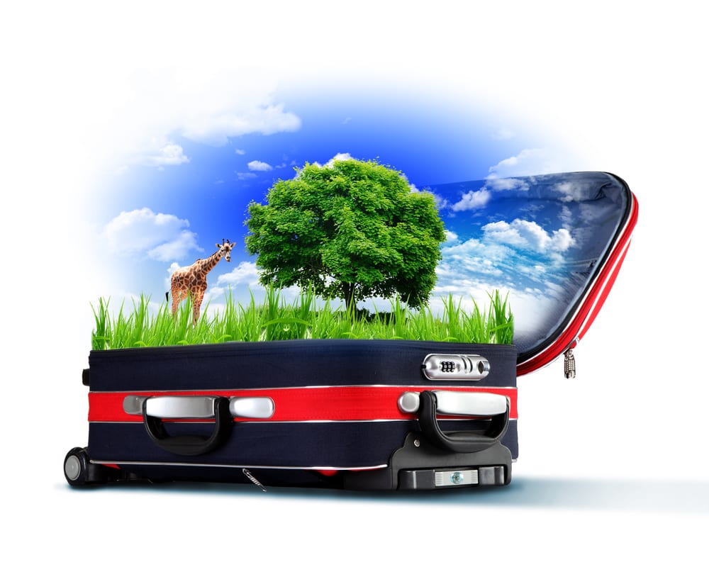 צילום: shutterstock