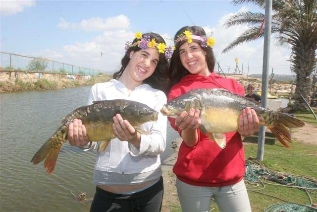 פסטיבל הקרפיון 2016 בפארק הדיג מעיין צבי - צילום: עופר שנער