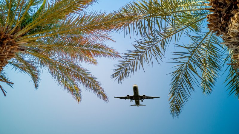 טיסות. צילום: shutterstock טיסות. צילום: shutterstock