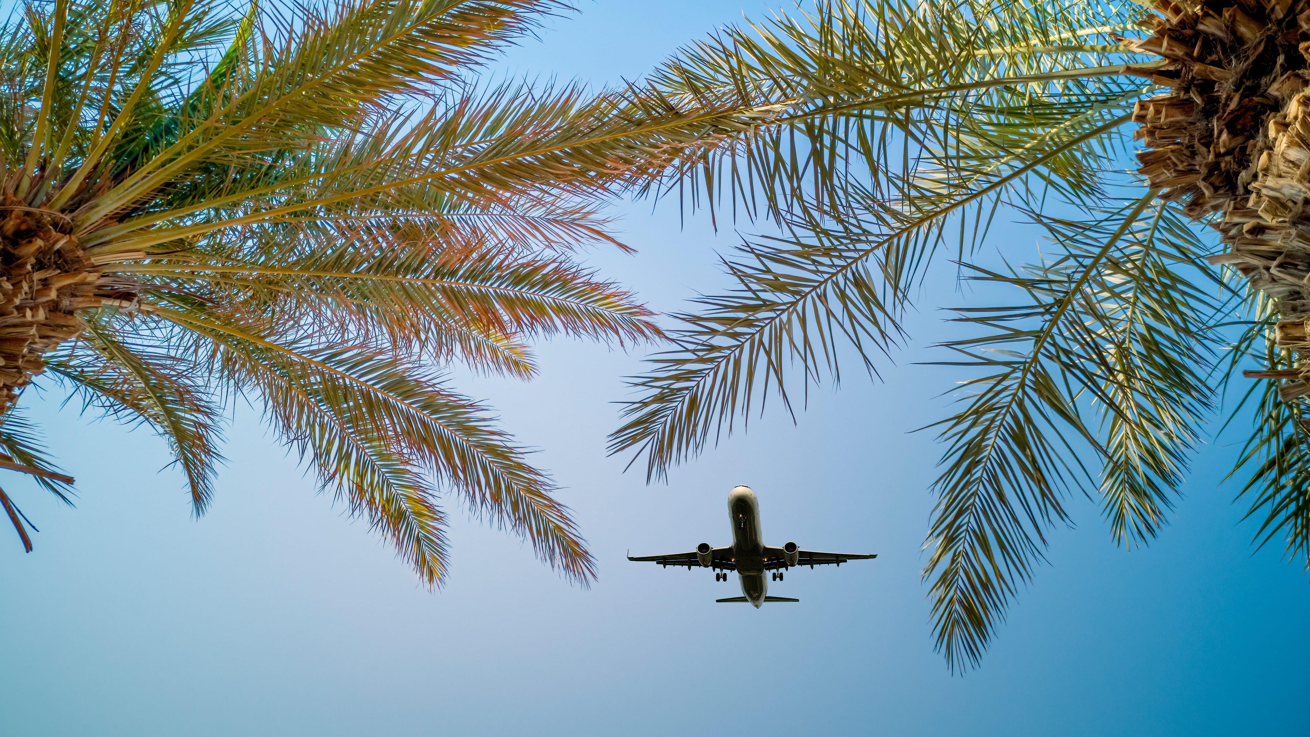 צילום: Shutterstock