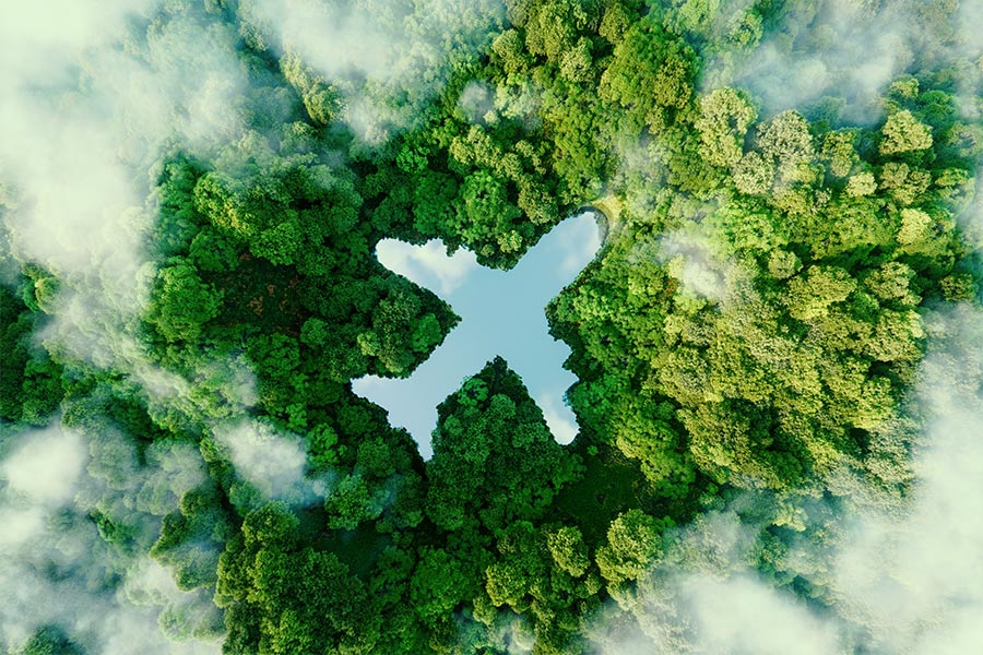 Photo: Shutterstock