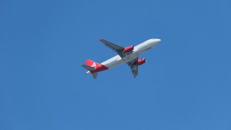 AnimaWings. Photo: Shutterstock