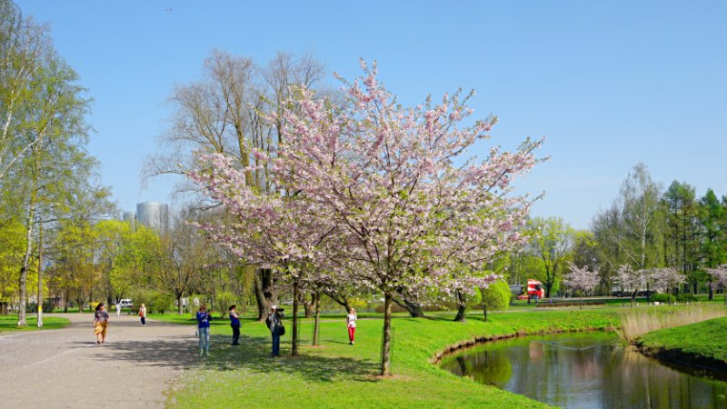 New attraction in Riga. Photo: Shutterstock