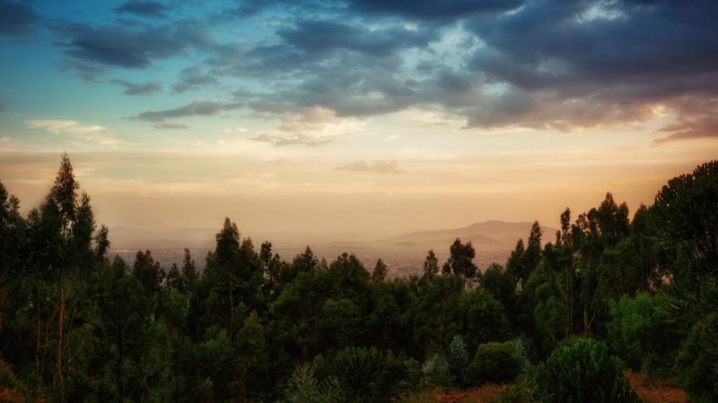Addis Ababa. Photo: Shutterstock