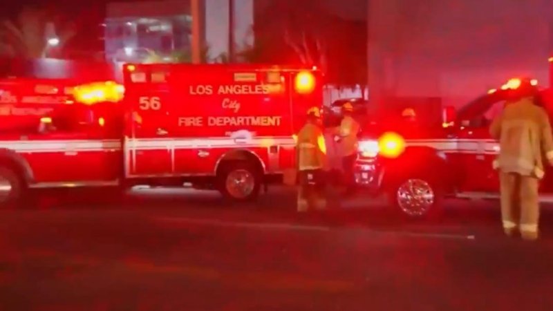 Photo: Karolis Kavolelis / Shhutterstock