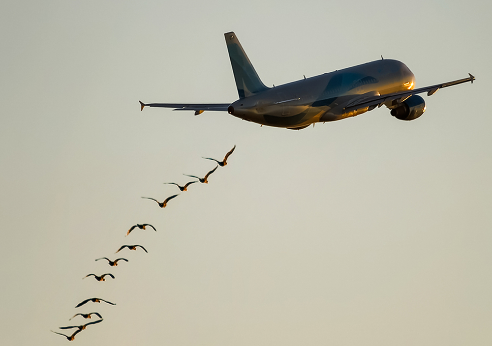 Photo: shutterstock
