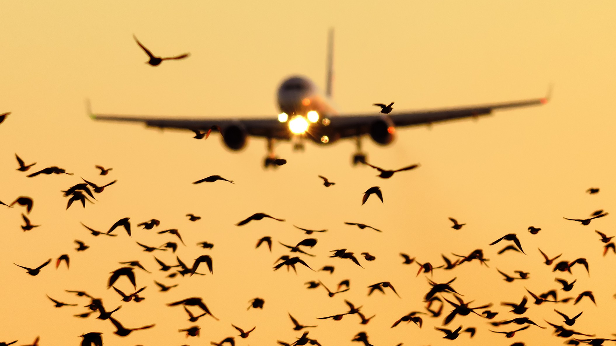 Photo: Shutterstock