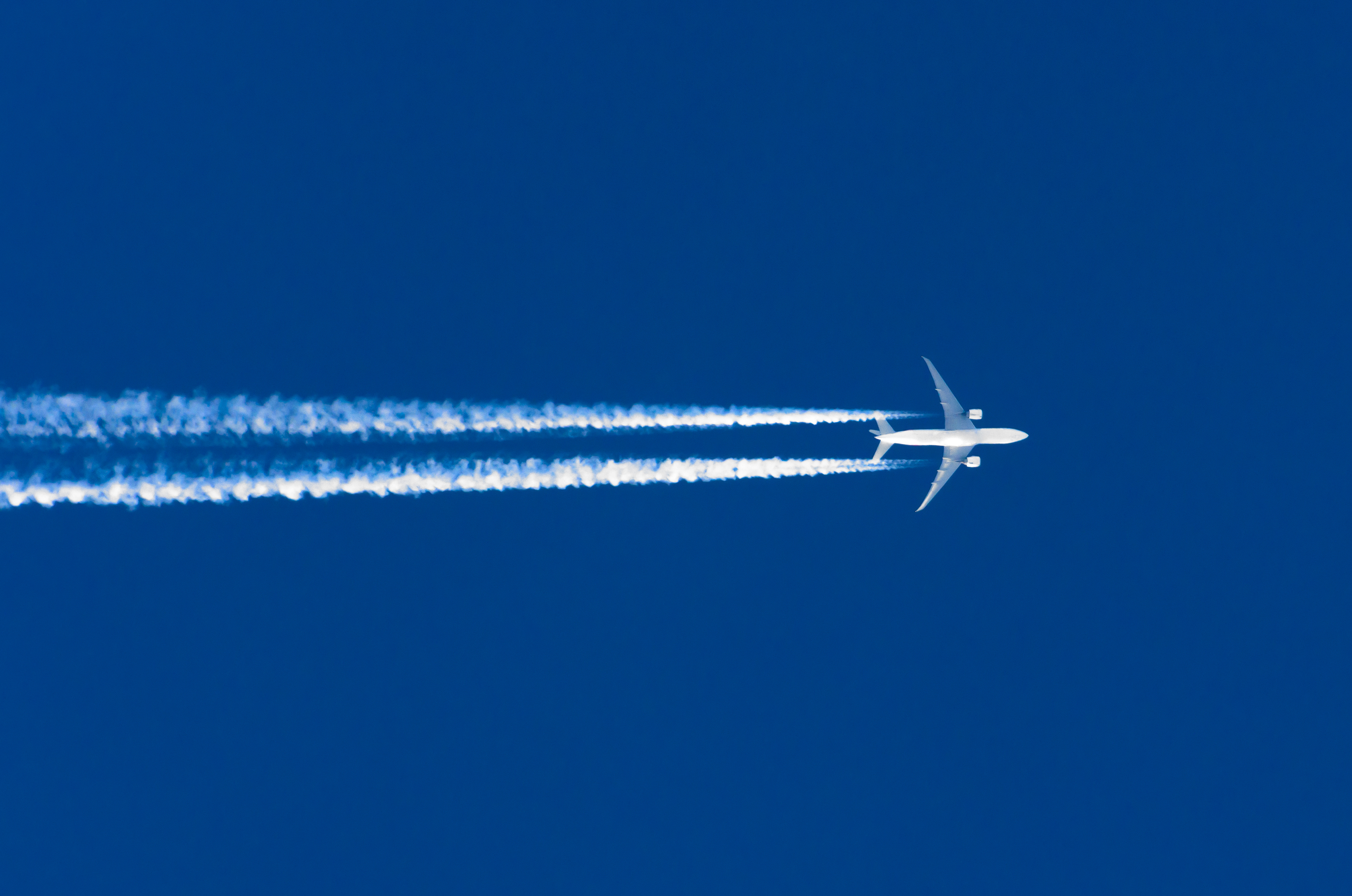 Photo: SHUTTERSTOCK