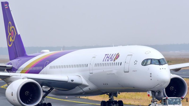 Thai Airways aircraft. Photo: Vytautas Kielaitis / Shutterstock