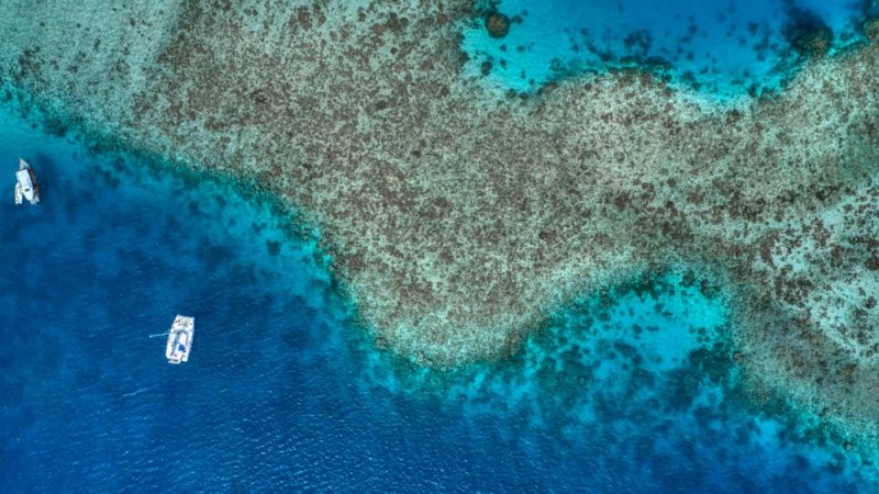 Photo of Maldives atoll, Vaavu and South Male / Shutterstock