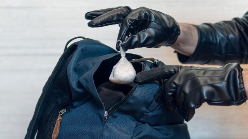 צילום: Melnikov Dmitriy, shutterstock